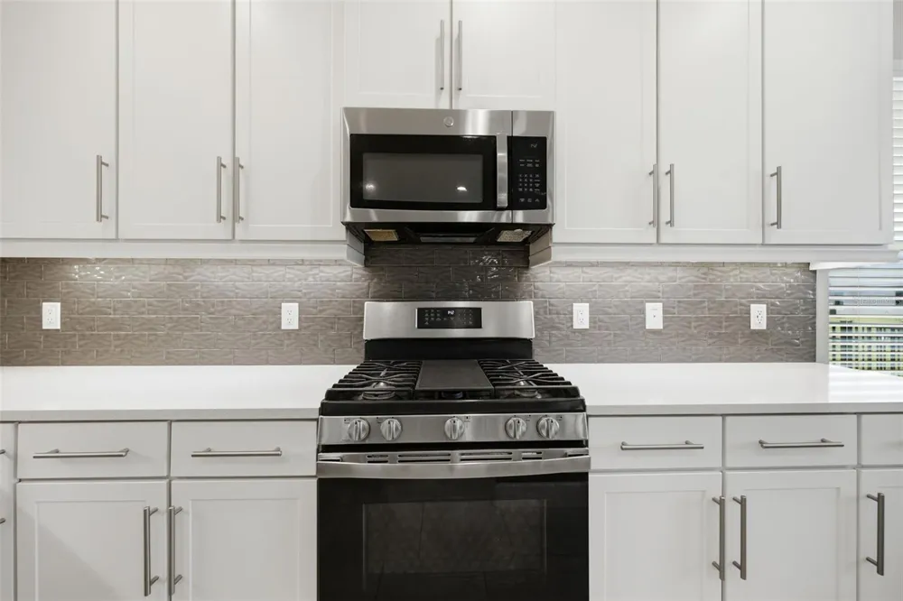 3073 MOUNTAIN SPRUCE TERRACE Wesley Chapel, FL 33543