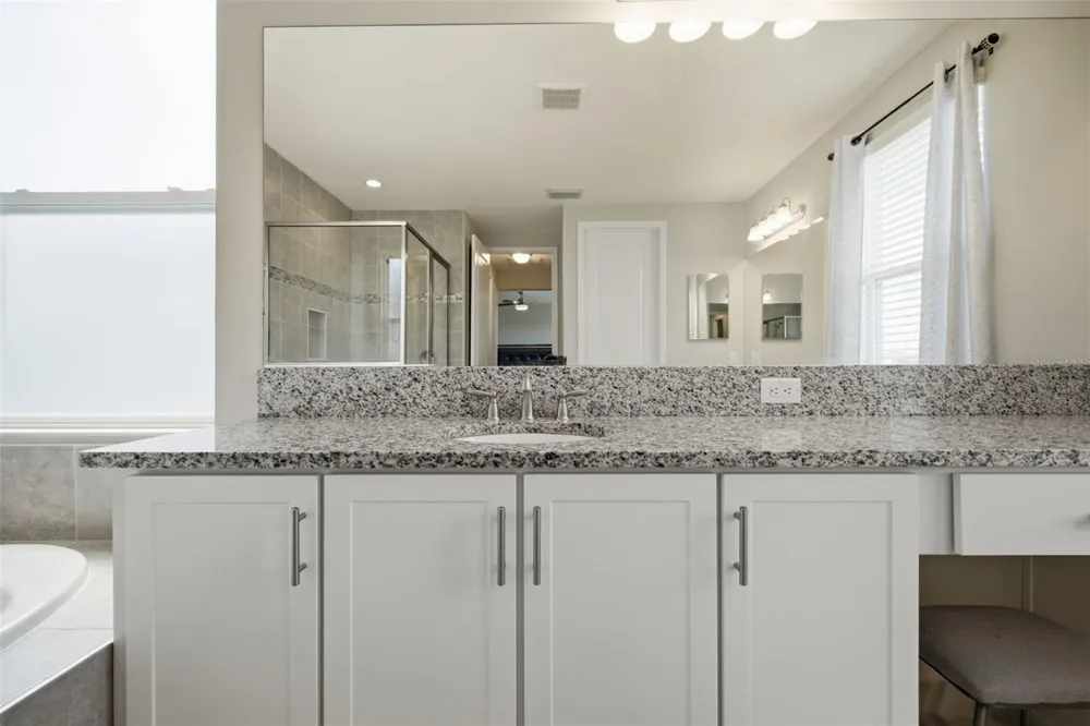 3073 MOUNTAIN SPRUCE TERRACE Wesley Chapel, FL 33543