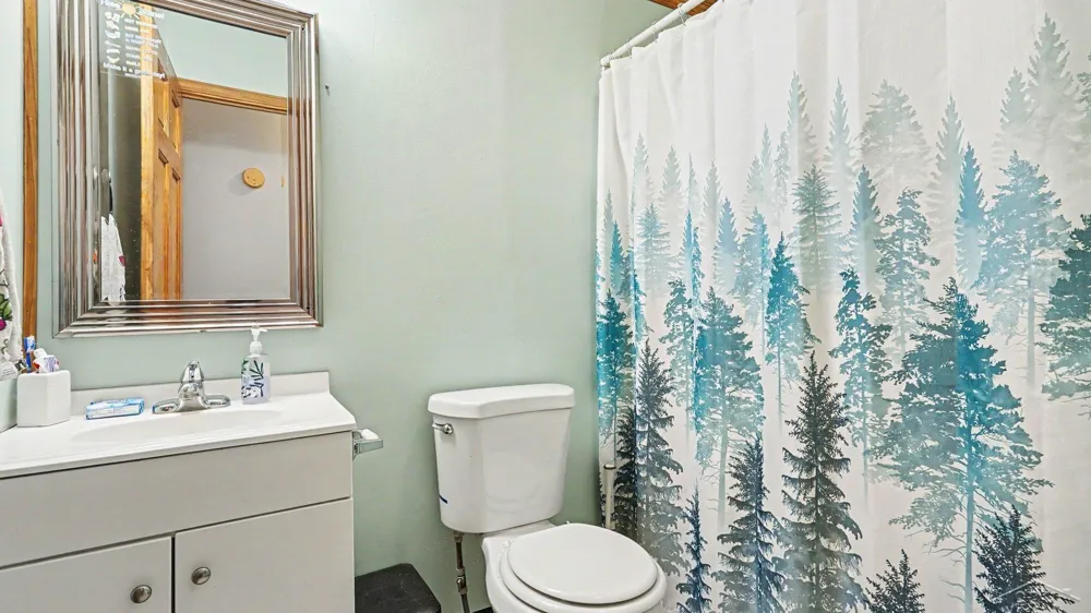 2410 S Loomis Road Chippewa Township, MI 48858