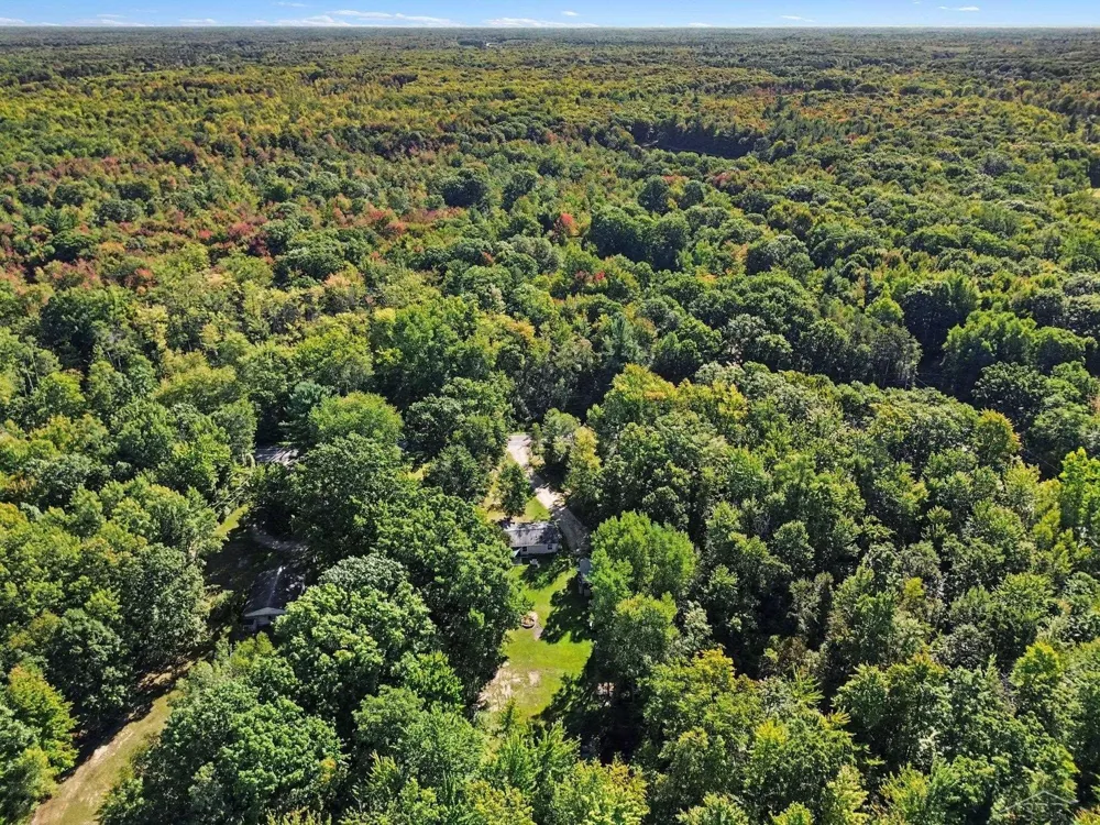 2410 S Loomis Road Chippewa Township, MI 48858