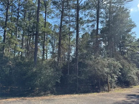 White Oak Street