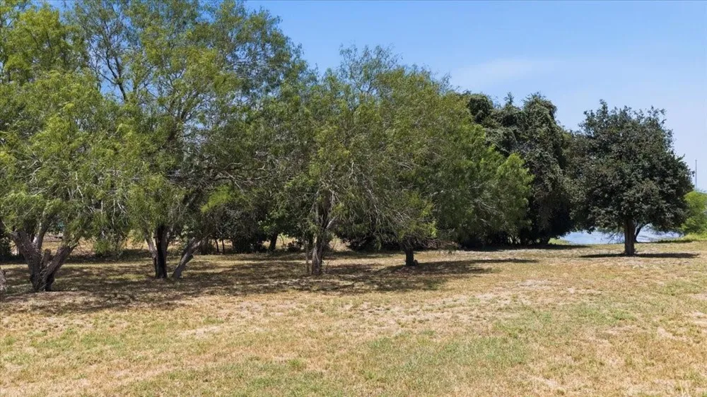 Pukuna Road Sandia, TX 78383