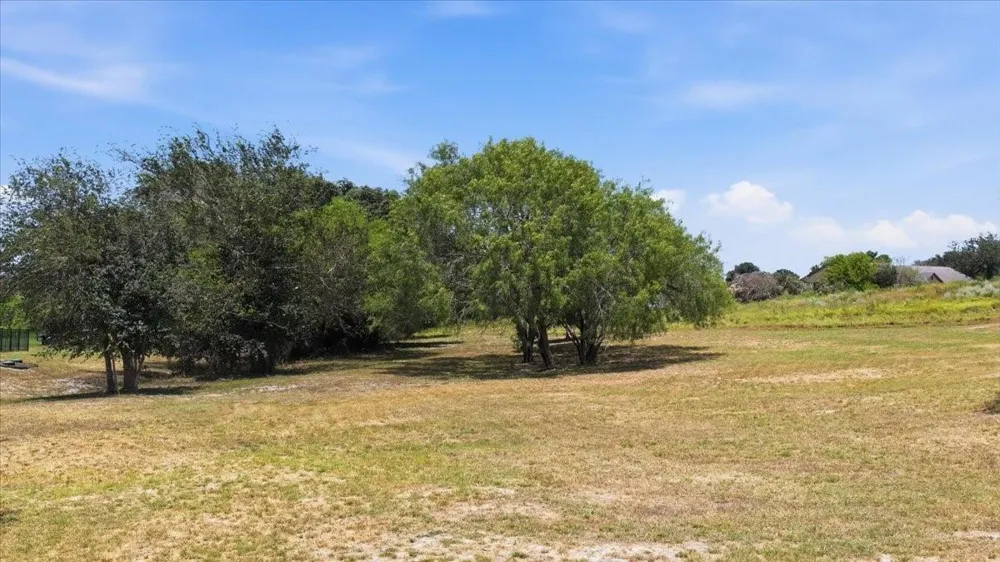 Pukuna Road Sandia, TX 78383