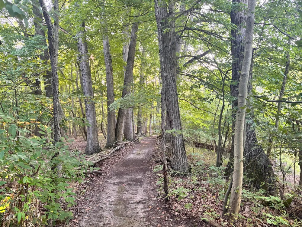 1001 S 10 1/2 Mile Road Lee Township, MI 48640