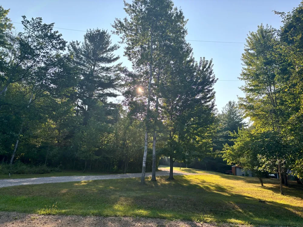 1001 S 10 1/2 Mile Road Lee Township, MI 48640