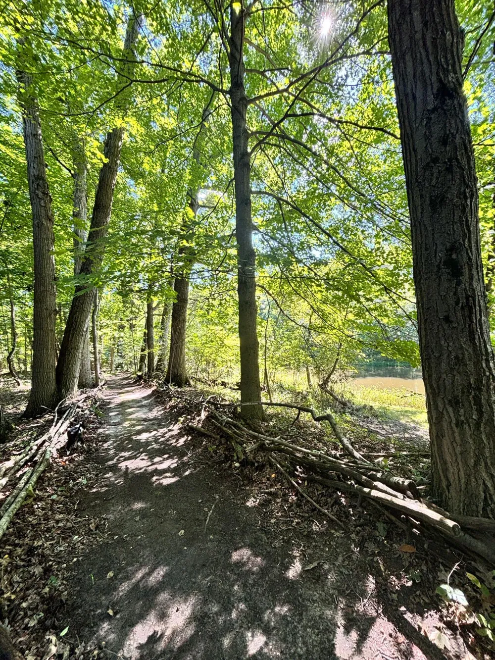 1001 S 10 1/2 Mile Road Lee Township, MI 48640