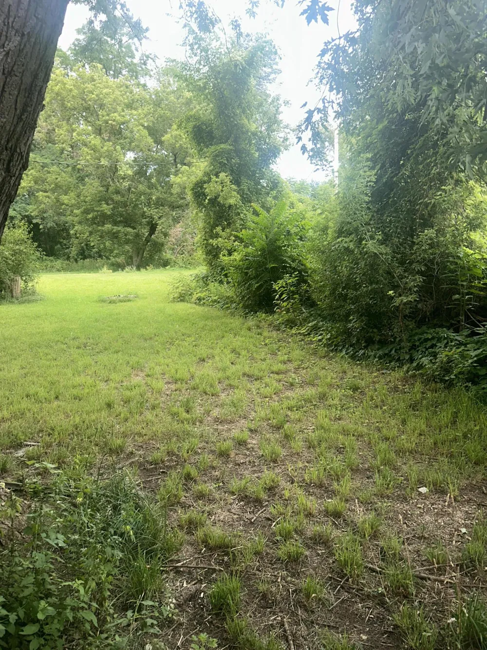 827 Golden Avenue Emmett Charter Township, MI 49014