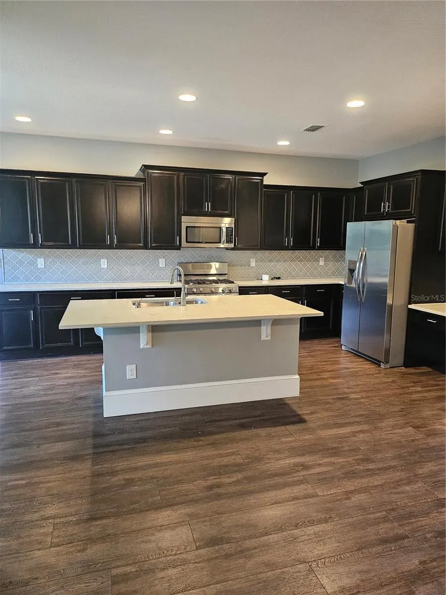 15718 STARLING DALE LANE Lithia, FL 33547