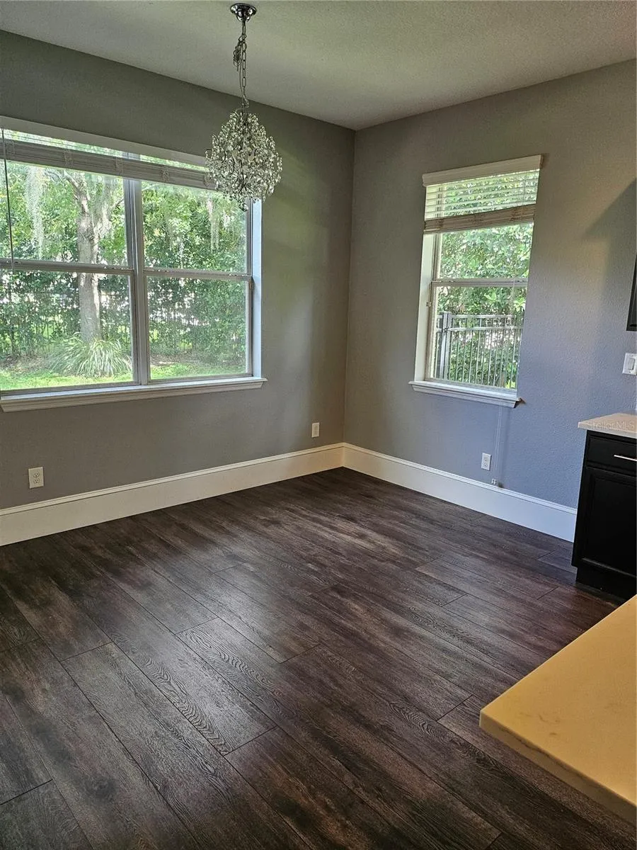 15718 STARLING DALE LANE Lithia, FL 33547