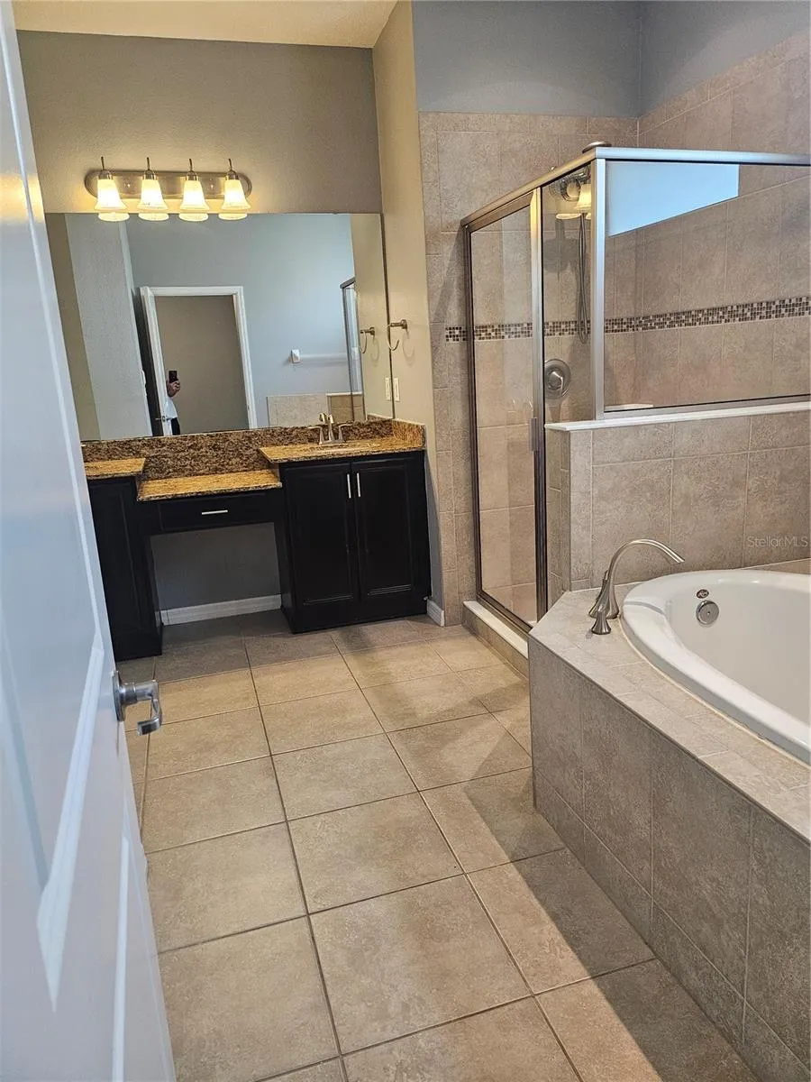 15718 STARLING DALE LANE Lithia, FL 33547
