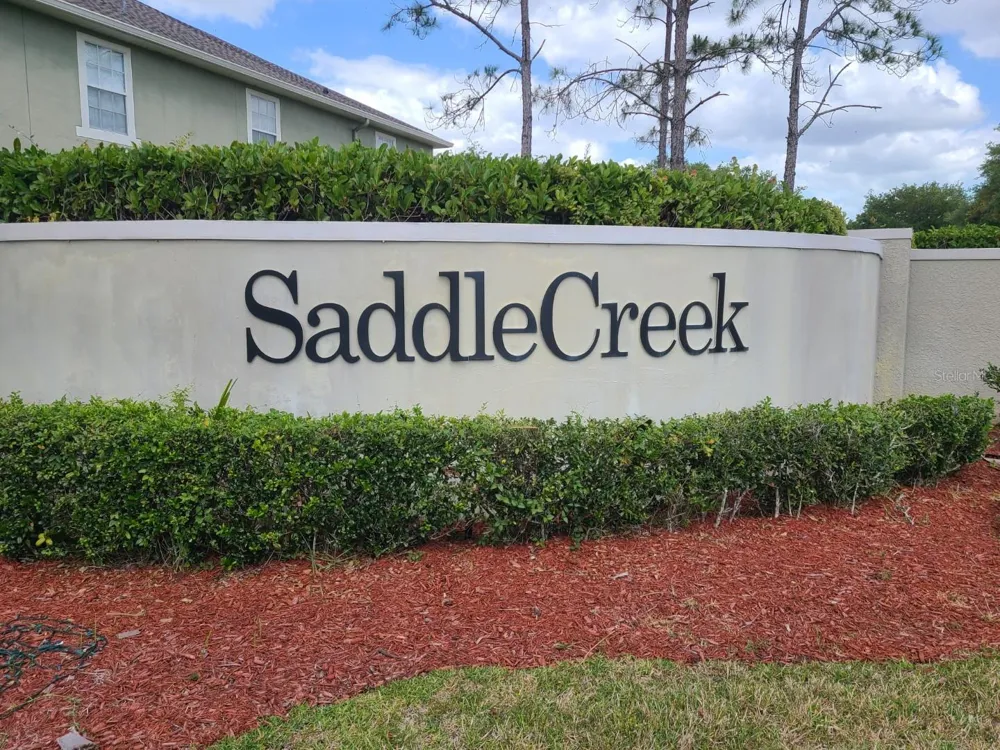 27727 PLEASURE RIDE LOOP Wesley Chapel, FL 33544