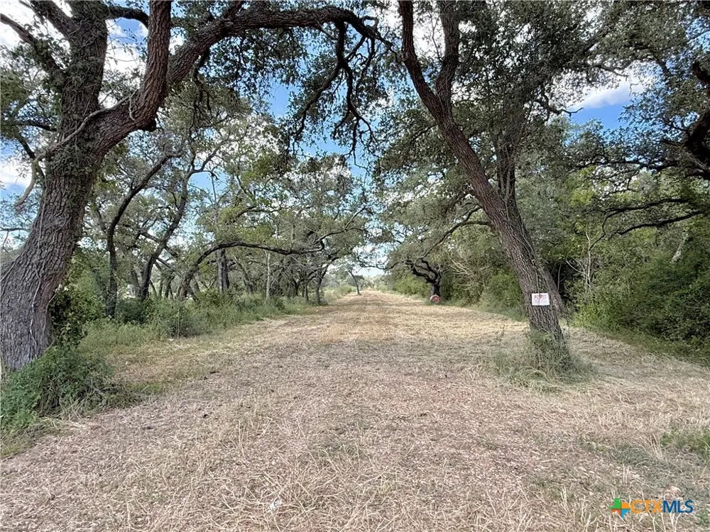 4668 Old Hwy Rd Inez, TX 77968