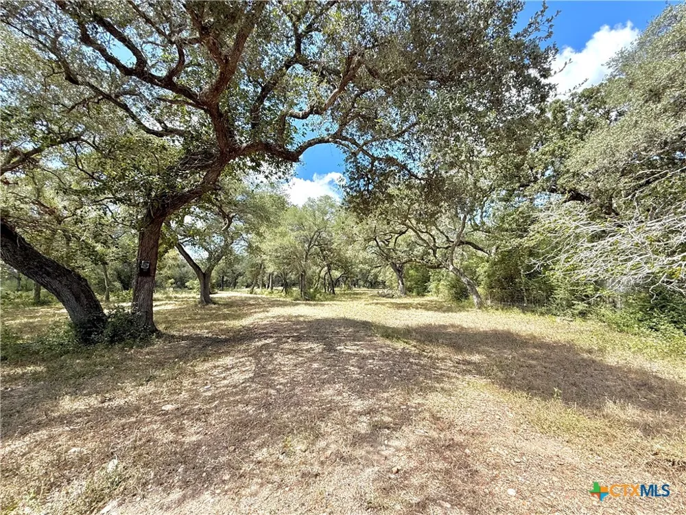 4668 Old Hwy Rd Inez, TX 77968