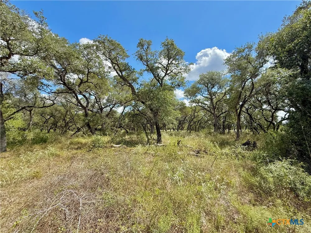 4668 Old Hwy Rd Inez, TX 77968