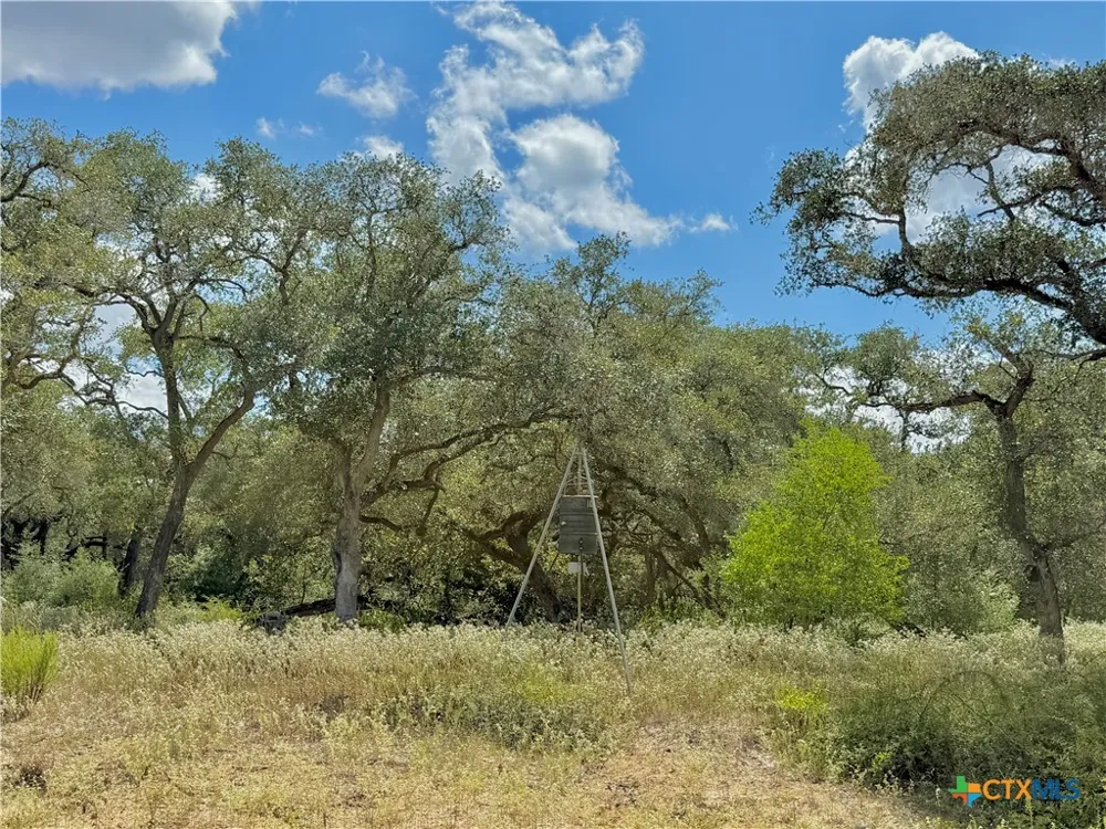4668 Old Hwy Rd Inez, TX 77968
