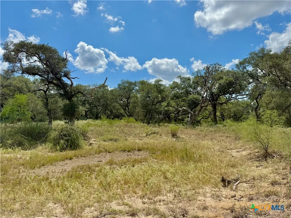 4668 Old Hwy Rd Inez, TX 77968