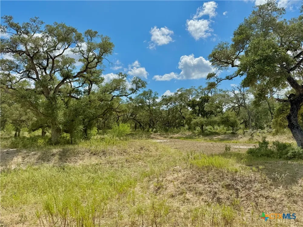 4668 Old Hwy Rd Inez, TX 77968