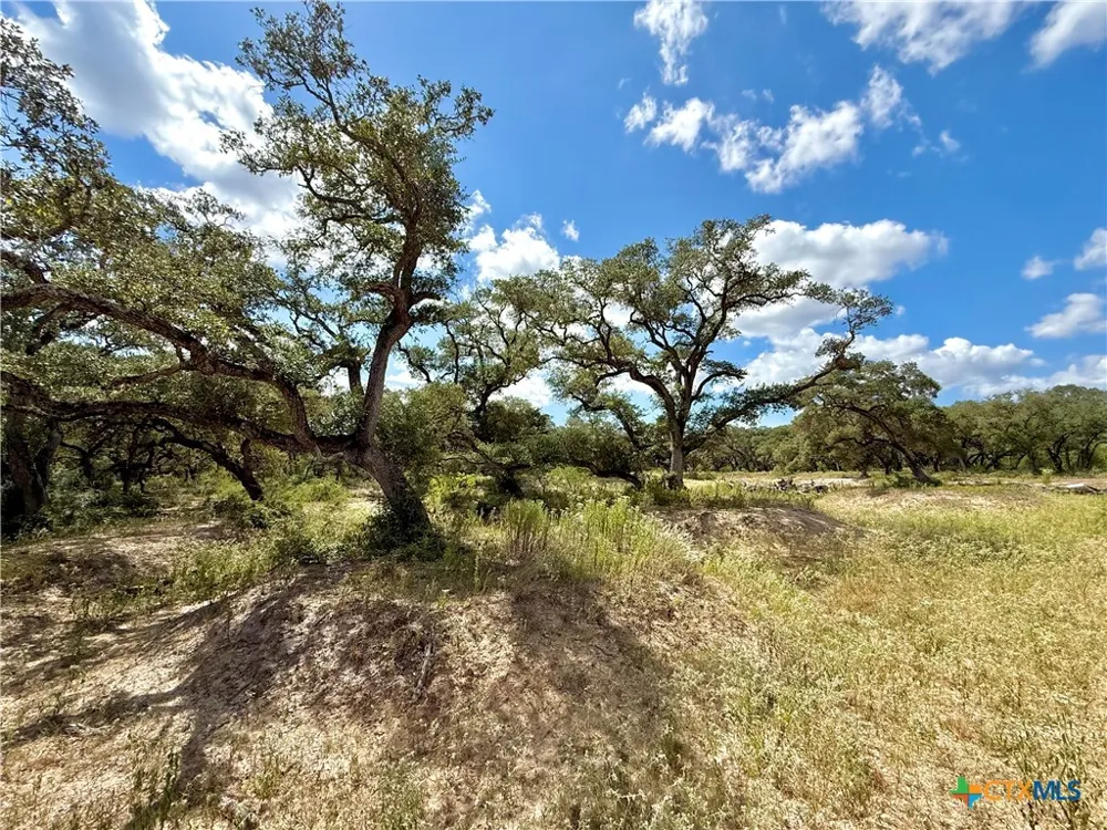 4668 Old Hwy Rd Inez, TX 77968