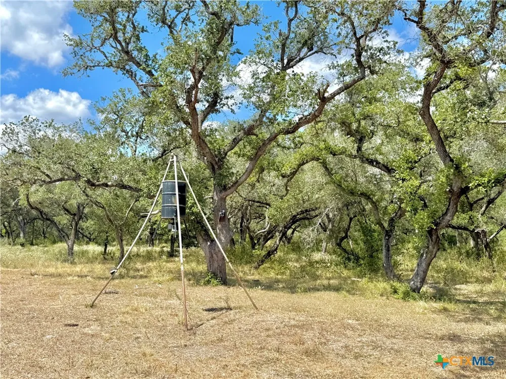 4668 Old Hwy Rd Inez, TX 77968