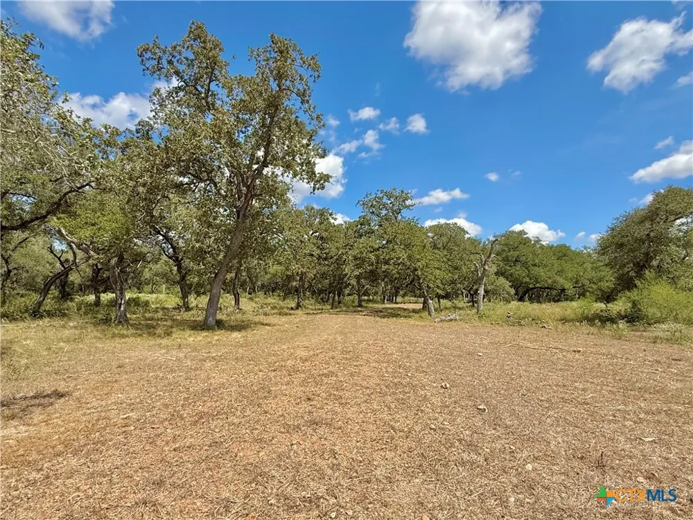 4668 Old Hwy Rd Inez, TX 77968
