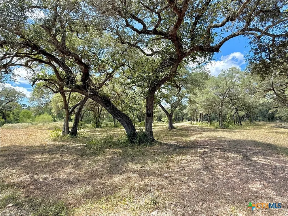 4668 Old Hwy Rd Inez, TX 77968
