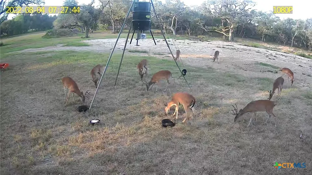 4668 Old Hwy Rd Inez, TX 77968