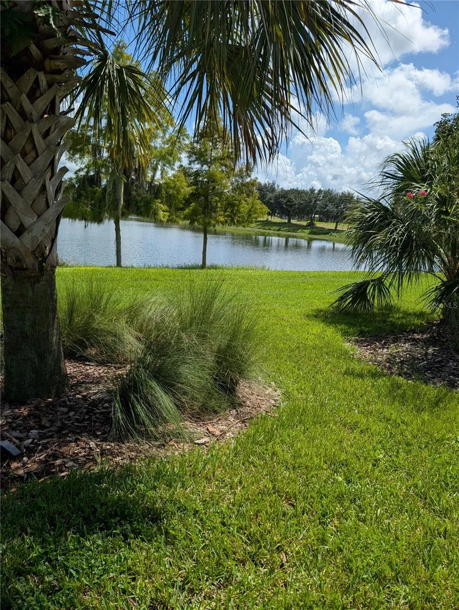2358 PALM TREE DRIVE Poinciana, FL 34759