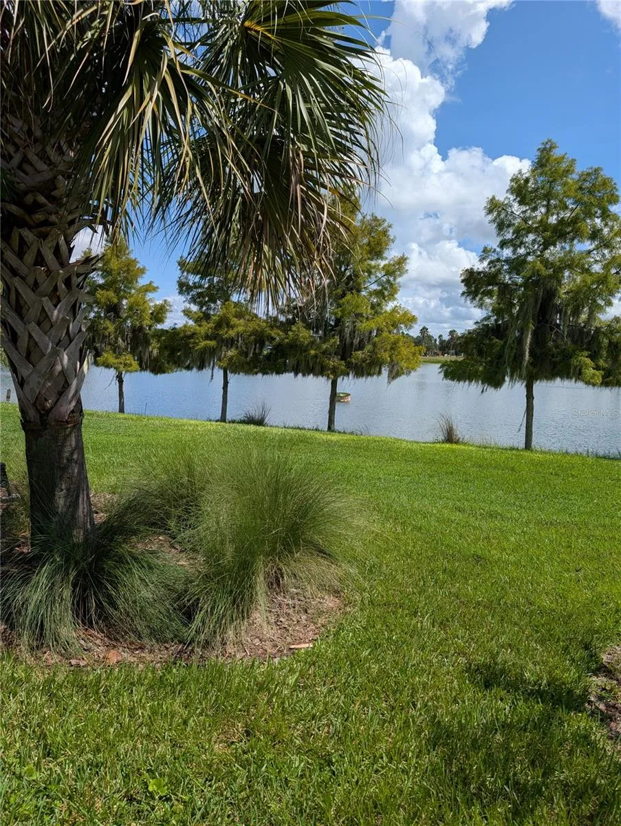 2358 PALM TREE DRIVE Poinciana, FL 34759