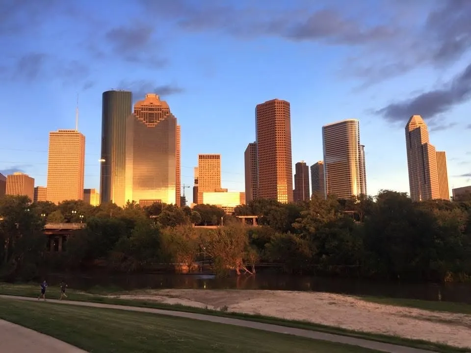 3311 Bremond Street Houston, TX 77004