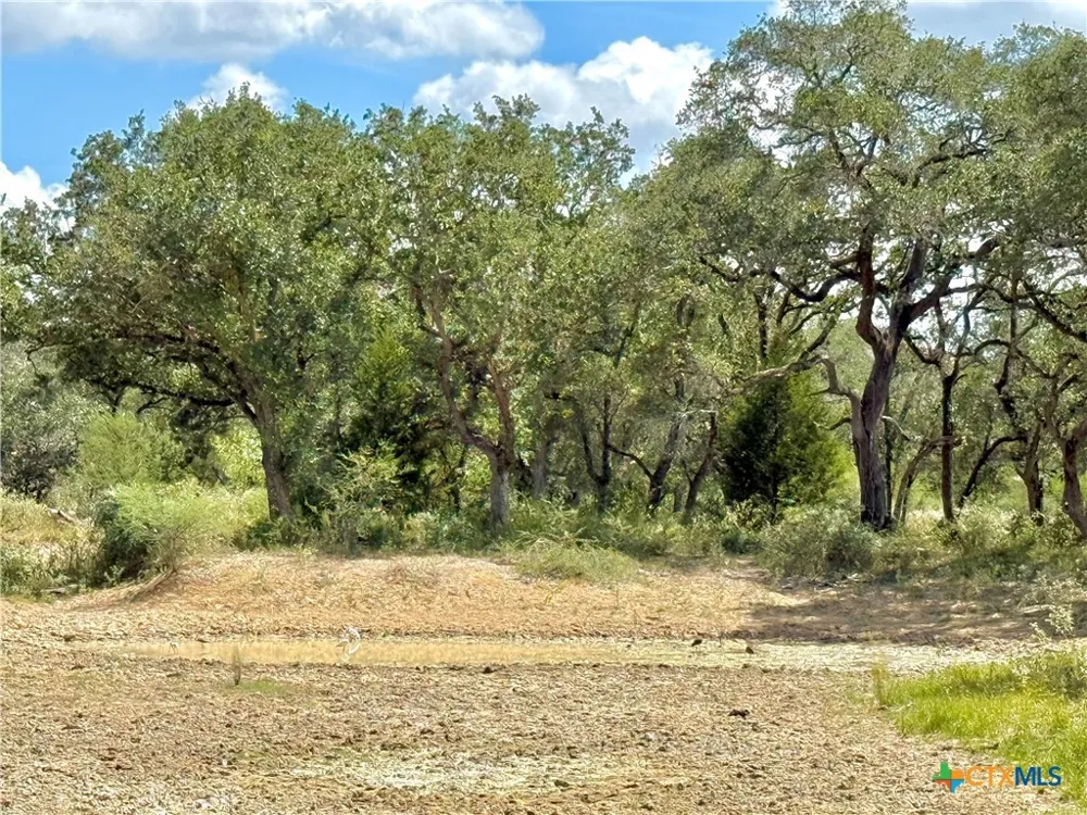 4668 Old Hwy Rd Inez, TX 77968