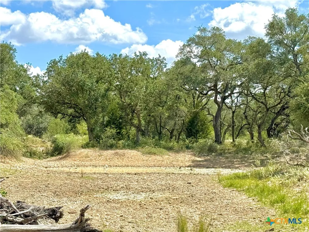 4668 Old Hwy Rd Inez, TX 77968