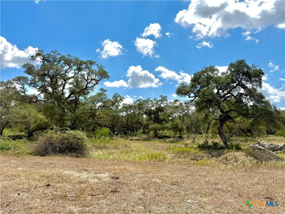 4668 Old Hwy Rd Inez, TX 77968