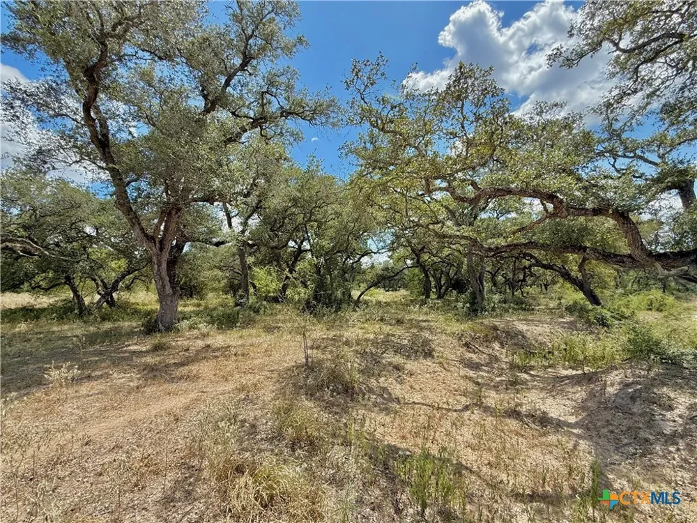 4668 Old Hwy Rd Inez, TX 77968
