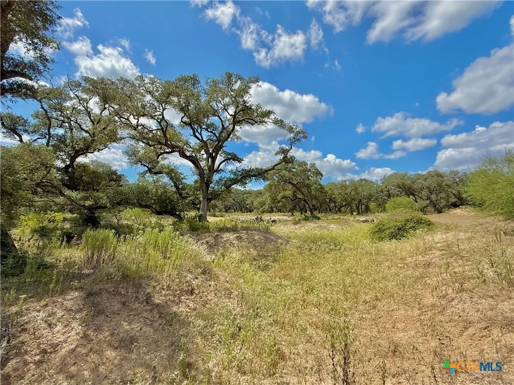 4668 Old Hwy Rd Inez, TX 77968