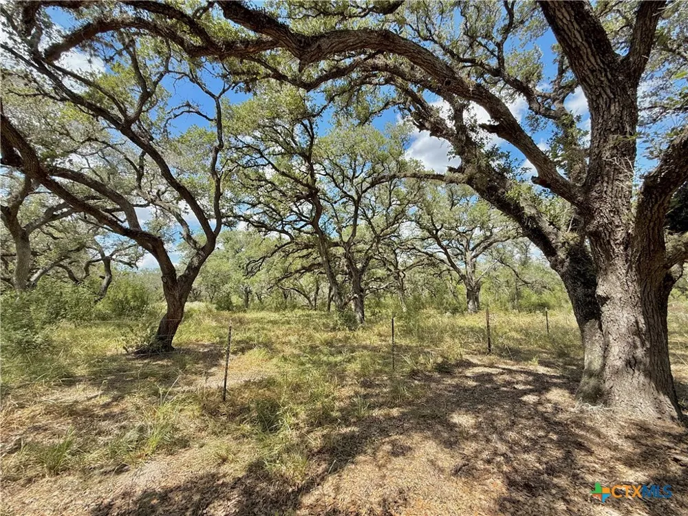 4668 Old Hwy Rd Inez, TX 77968