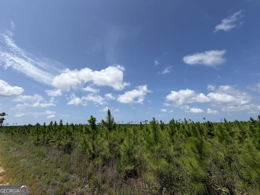 32 ACRES Allanton RD Panama City, FL 32404