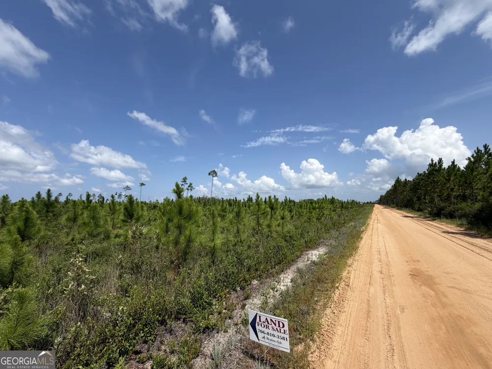32 ACRES Allanton RD Panama City, FL 32404