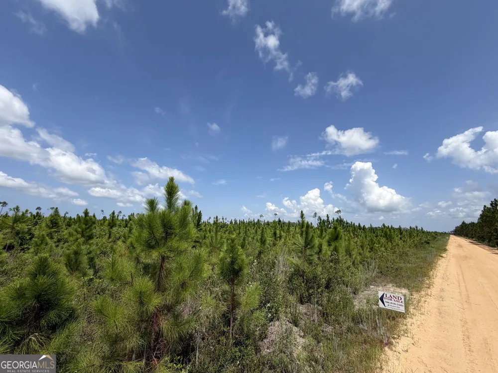 32 ACRES Allanton RD Panama City, FL 32404