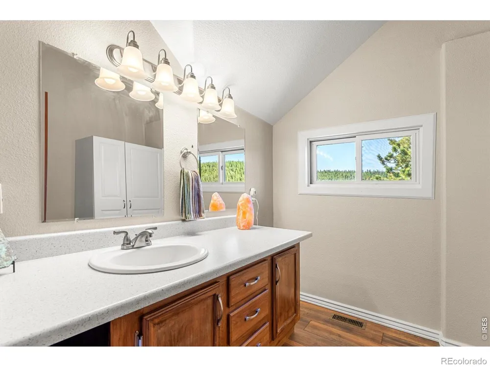 563 Pine Cone Circle Ward, CO 80481
