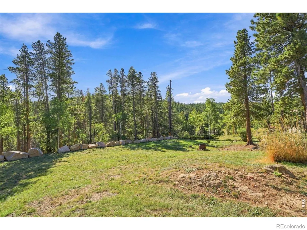 563 Pine Cone Circle Ward, CO 80481