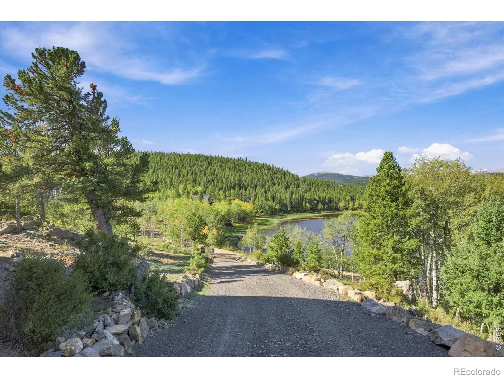 563 Pine Cone Circle Ward, CO 80481