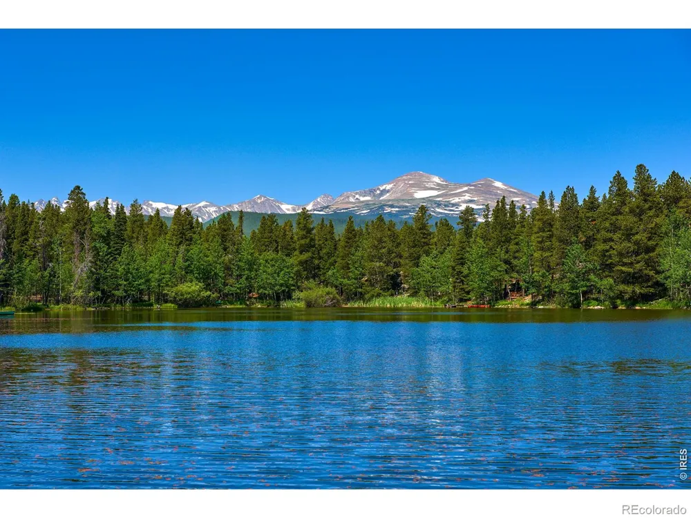 563 Pine Cone Circle Ward, CO 80481