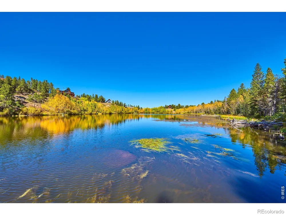 563 Pine Cone Circle Ward, CO 80481