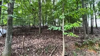 63 Lakeshore Drive Duluth, GA 30096