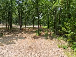 20910 Black Jack Trail