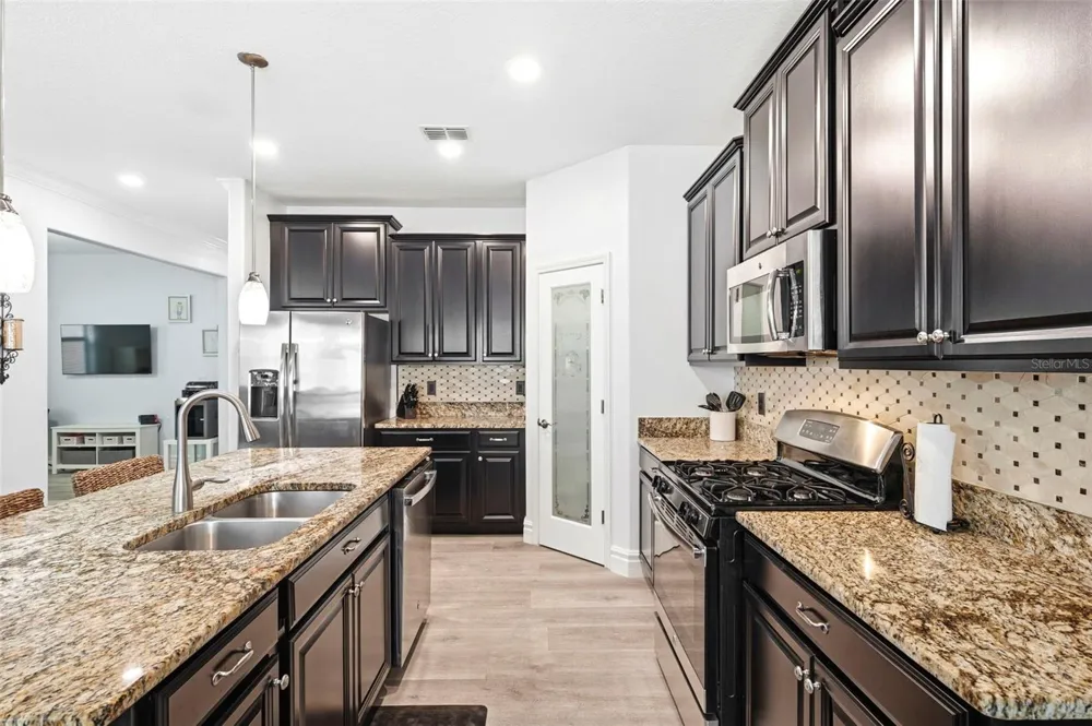 917 TERRA VISTA STREET Brandon, FL 33511