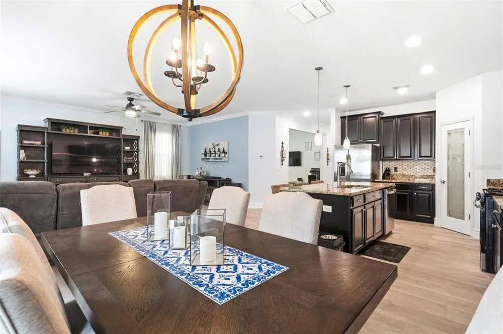 917 TERRA VISTA STREET Brandon, FL 33511