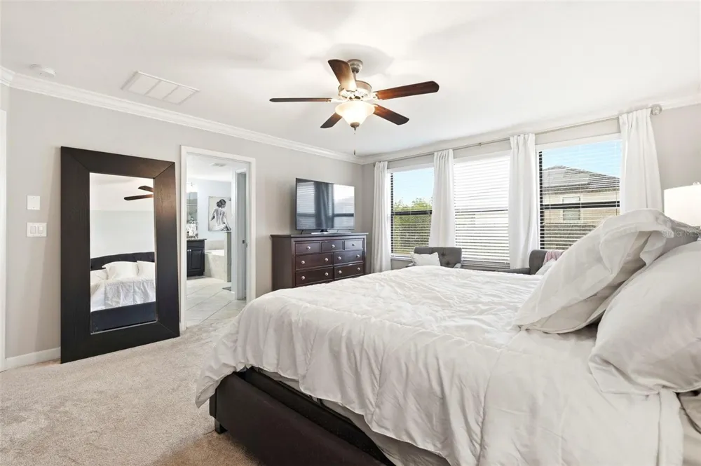 917 TERRA VISTA STREET Brandon, FL 33511