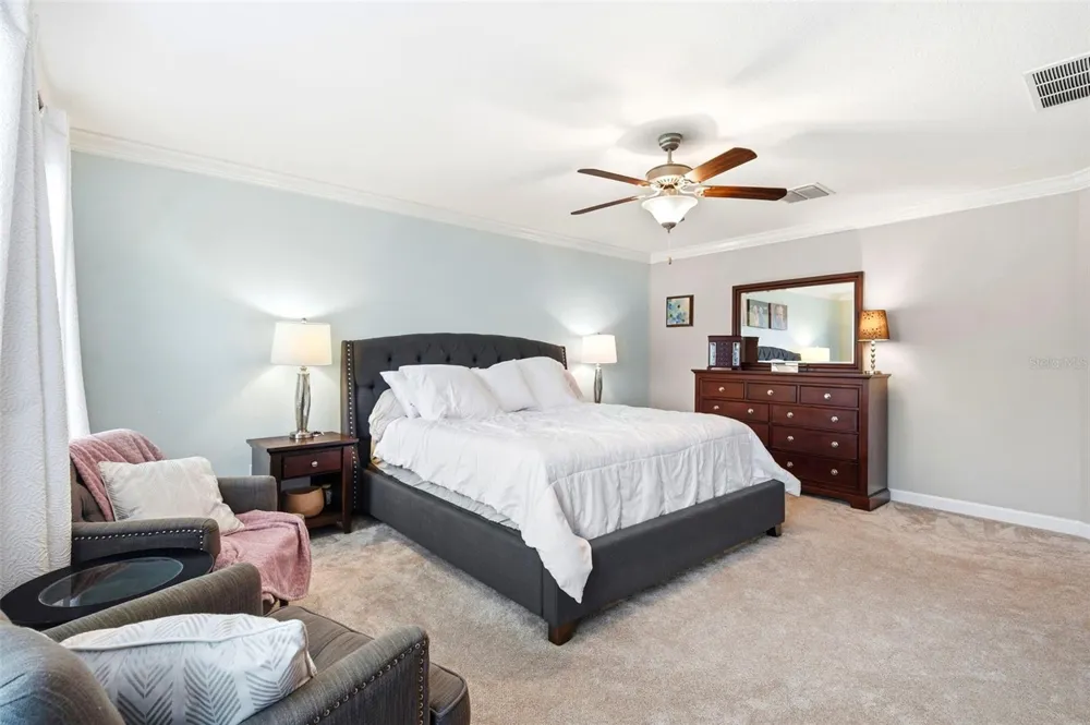 917 TERRA VISTA STREET Brandon, FL 33511