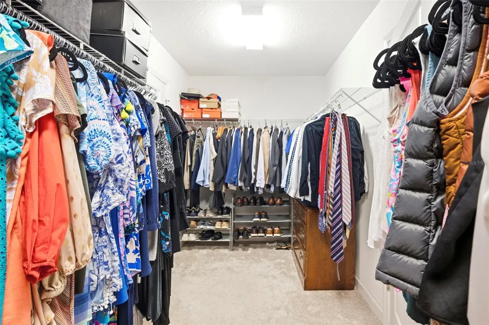 917 TERRA VISTA STREET Brandon, FL 33511